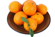 物美超市的蜜桔不合格，检出农药丙溴磷超标！｜天津-测客