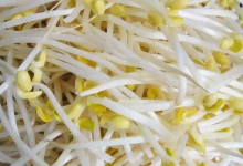 饿了么永昌菜市场的豆芽有激素6-苄基腺嘌呤,感觉没那么饿了!|上海-测客