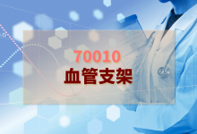2024年血管支架检验方案-测客